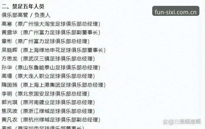 足协禁足名单vs行业自律：从17人终身禁赛看中国足球的净化之路